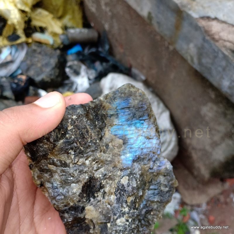 Agate Buddy